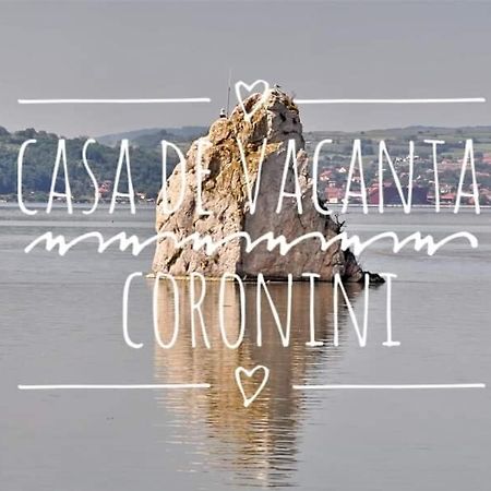 Casa De Vacanta Danube Moldova Noua Εξωτερικό φωτογραφία